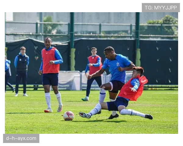 上海申花冬训新计划成效显著，新赛季备战状态亮眼