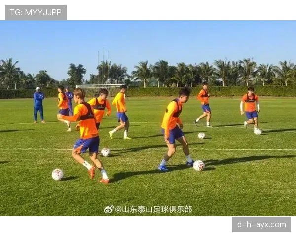 山东泰山队集训有序推进，球员状态稳步提升迎战新赛季