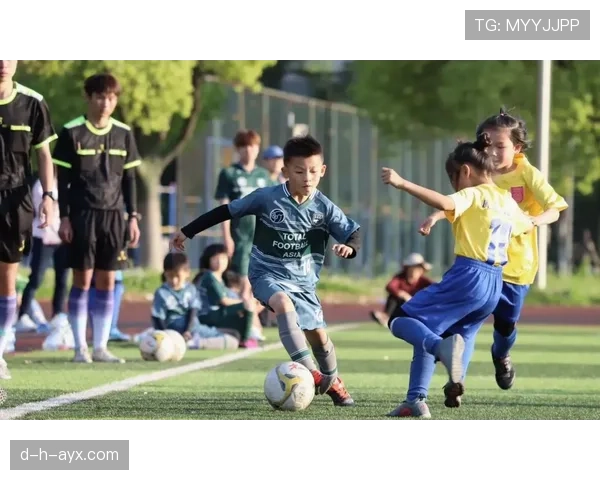 足球新星大热门近期表现稳健，持续提升备受期待